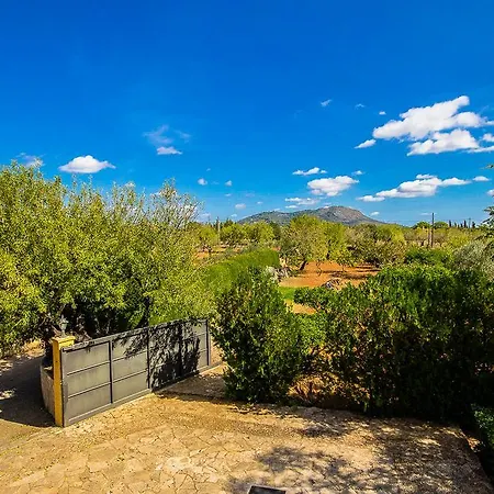 Pascolet Inca (Mallorca)