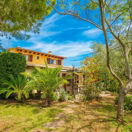 Pascolet * Inca (Mallorca)