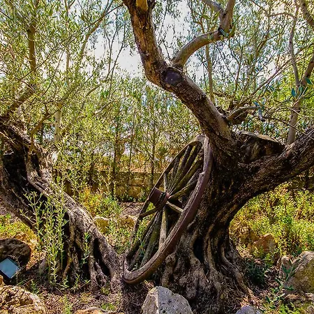 Willa Pascolet Inca (Mallorca)